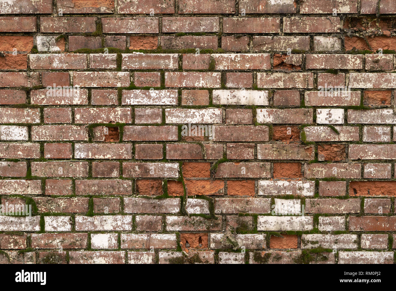 Old brick wall for background, Structure of the mortar wall is still unfinished. Stock Photo