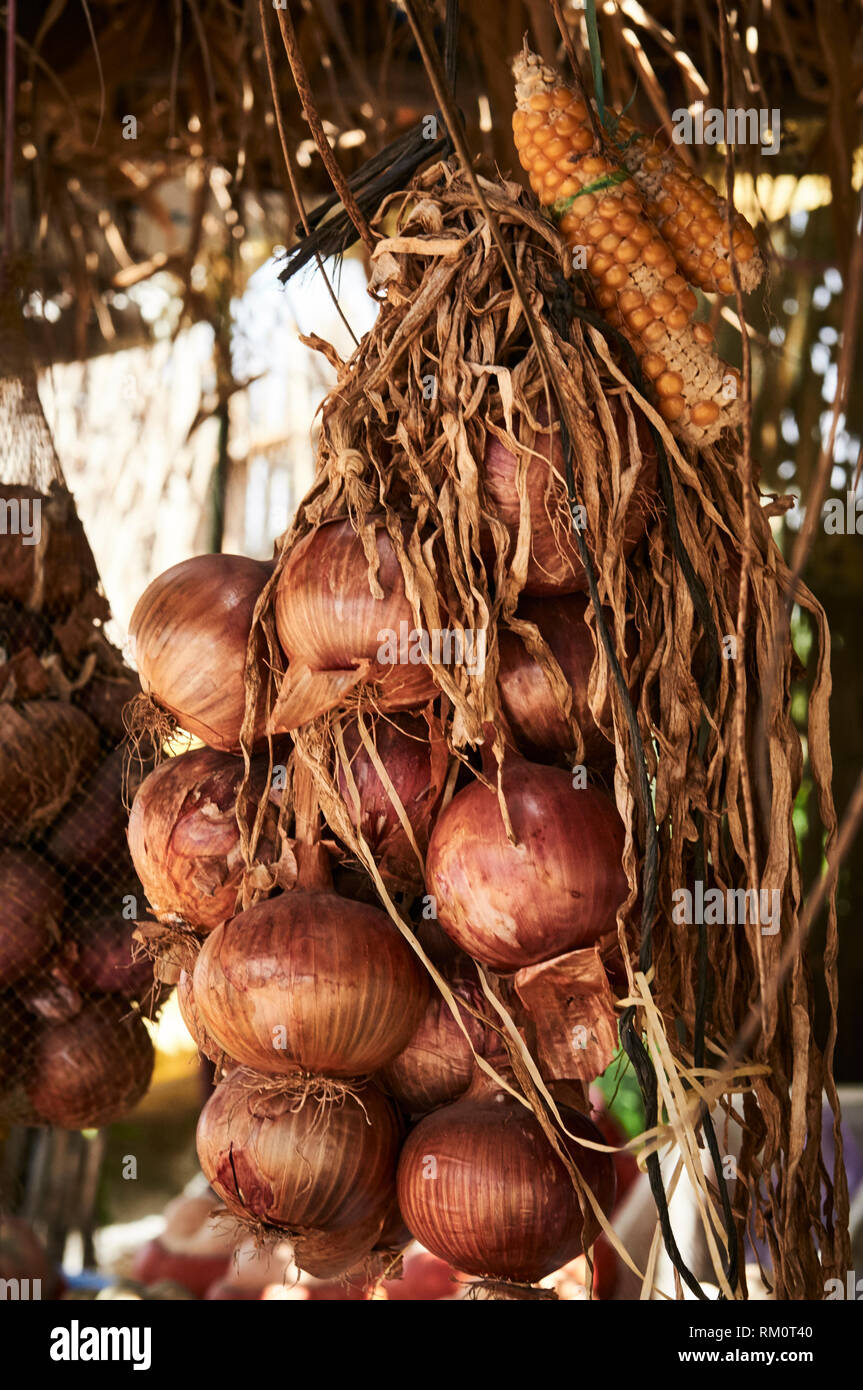 Onion and corn vegetables hanging from a market stall on the side of the road just outside Fez. Stock Photo