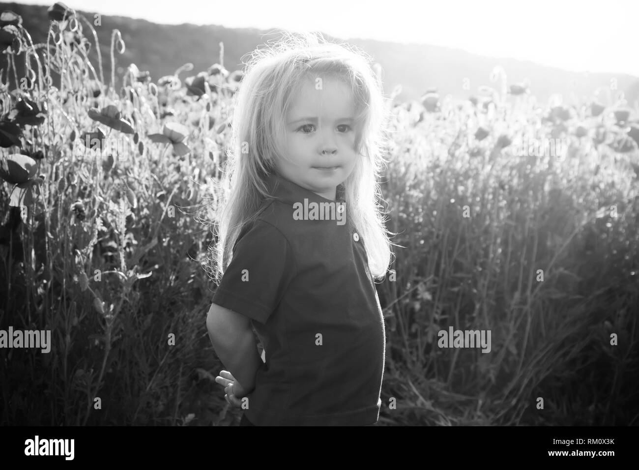 small boy or child in field of poppy seed Stock Photo - Alamy