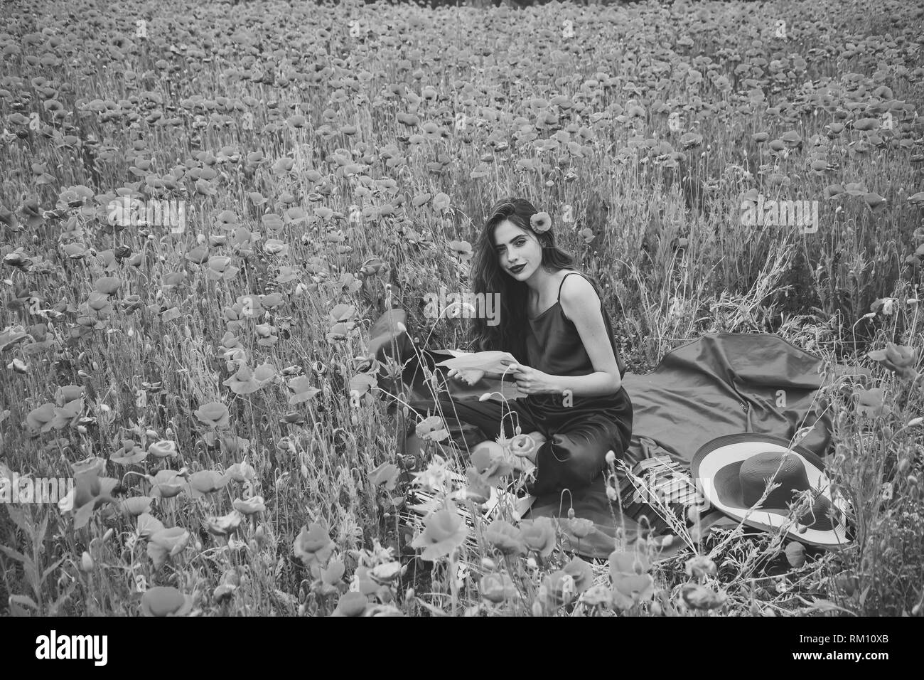 The opium poppy Black and White Stock Photos & Images - Alamy