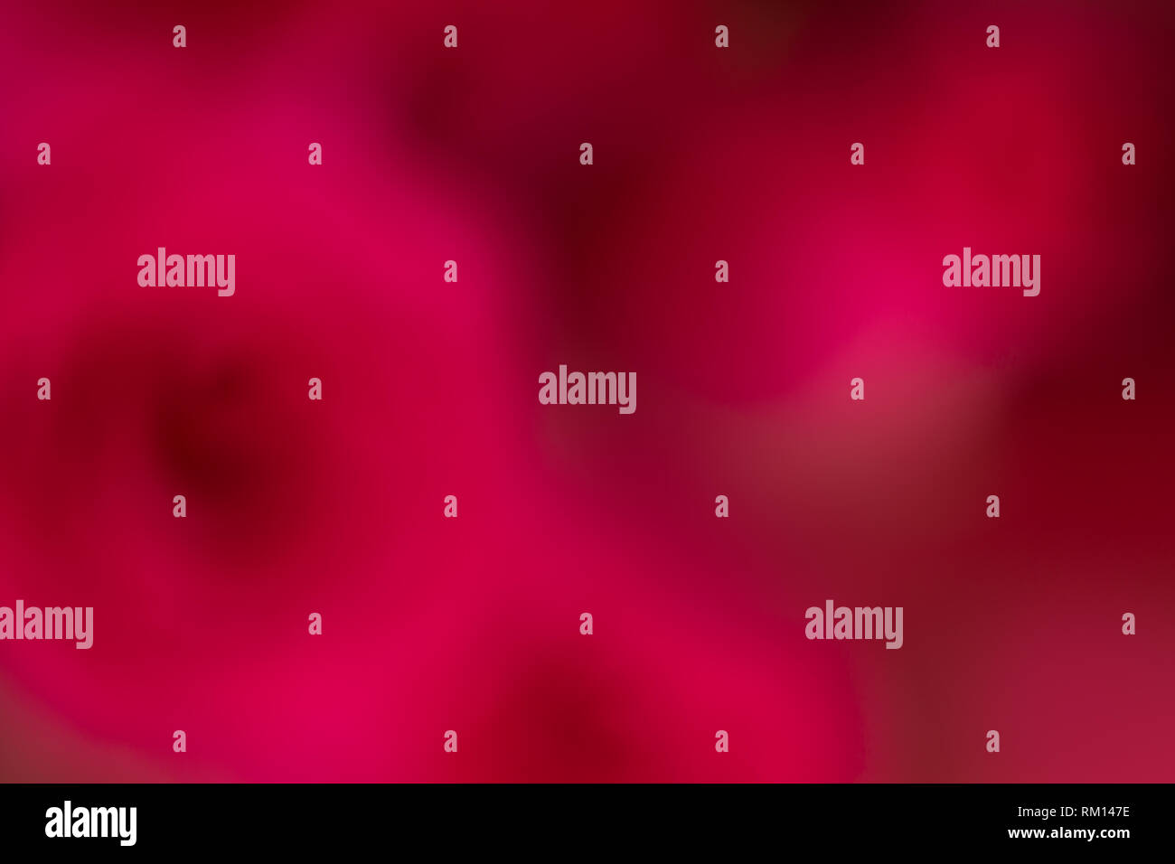 Blurred red roses bouquet abstract background/backdrop Stock Photo - Alamy