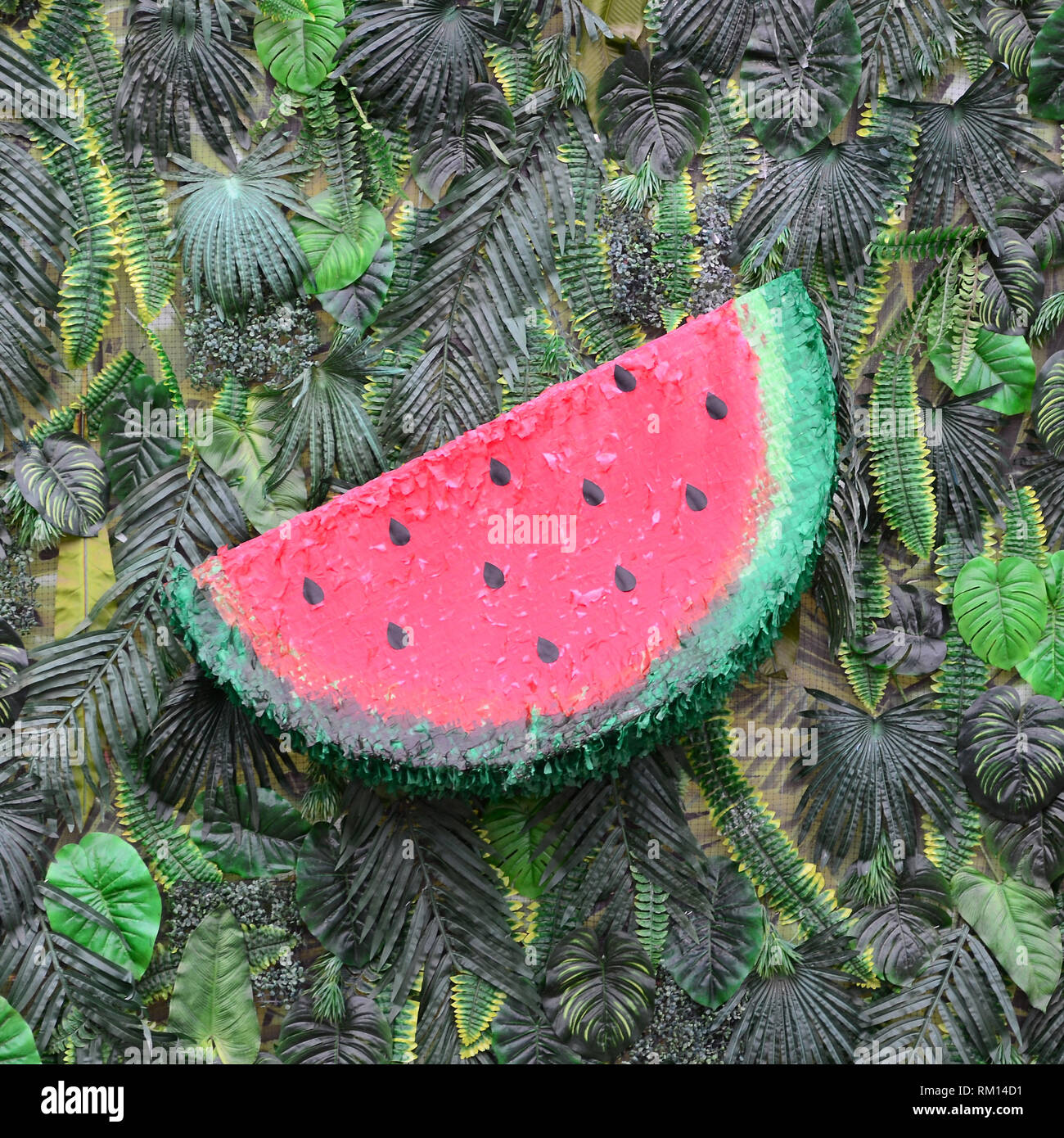 Watermelon Gangle Tropical pattern with jungle leaves and watermelon fruit floral ...
