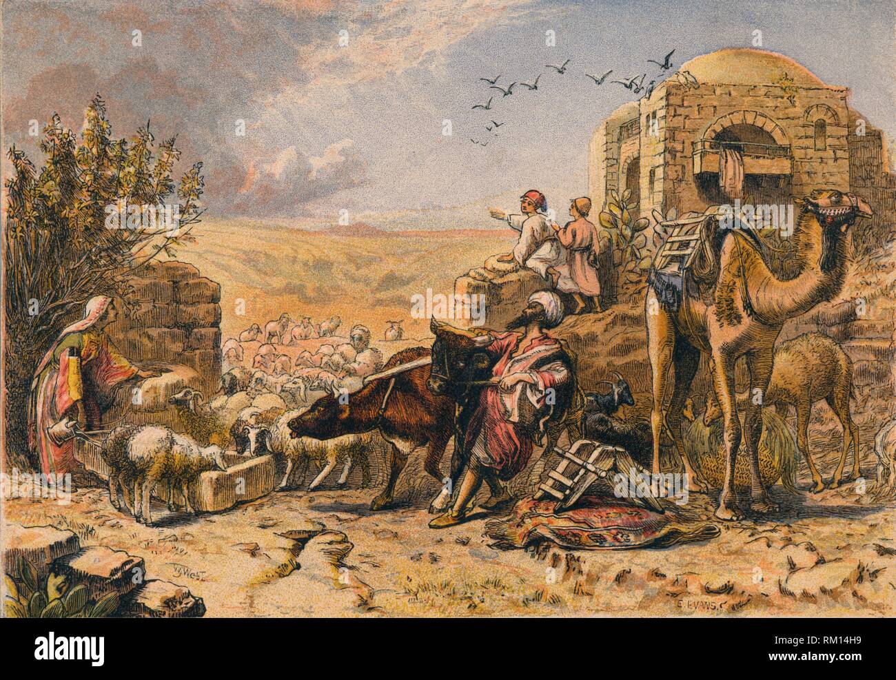 'The Rain Cloud', mid 19th century. Creator: William J Webb Stock Photo ...