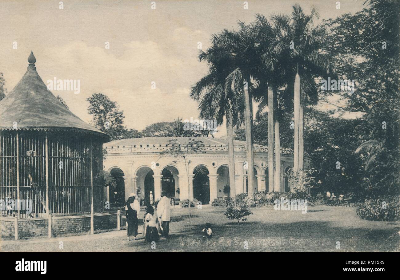 'View in the Zoological Gardens, Calcutta', c1910. Creator: Unknown. Stock Photo