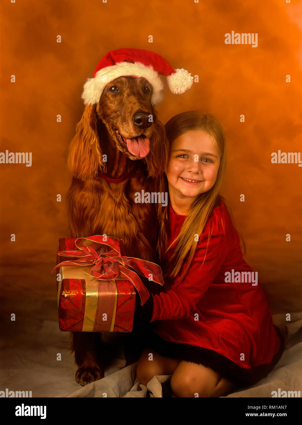Young Girl, about the age of an old toddler with a Christmas present for her dog and a dog at Christmas. Stock Photo