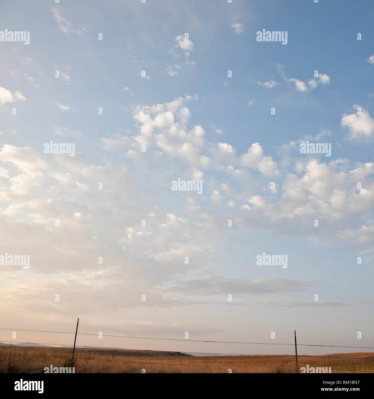 Barbed Wire Fence with Grassland Landscape Stock Photo