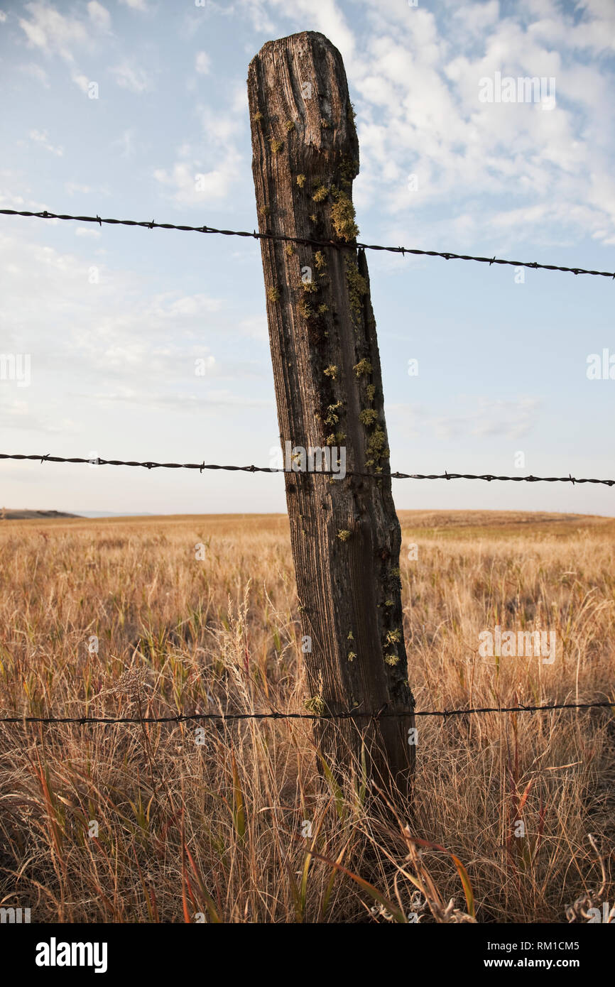 Barbed Wire Fencing and Wooden Post Stock Photo
