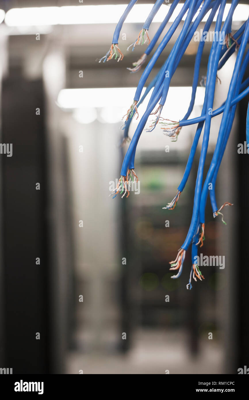 Exposed Ends of Blue Wire Bundles Stock Photo - Alamy