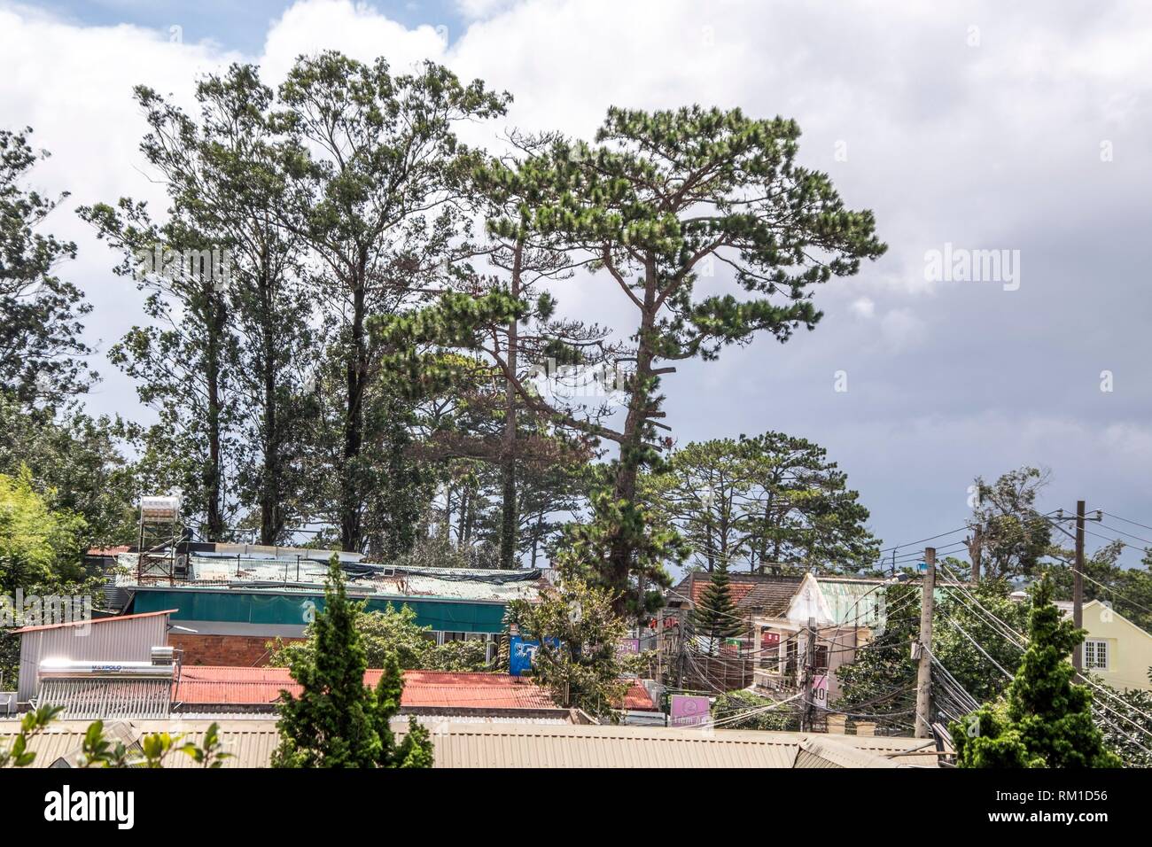 Hang Nga villa (Crazy House) in Da Lat, Vietnam Stock Photo Alamy