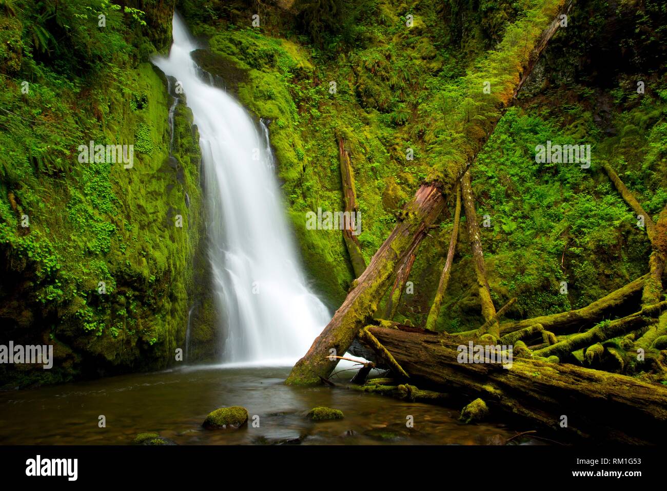 Hemlock Falls, Umpqua National Forest, Oregon. Stock Photo