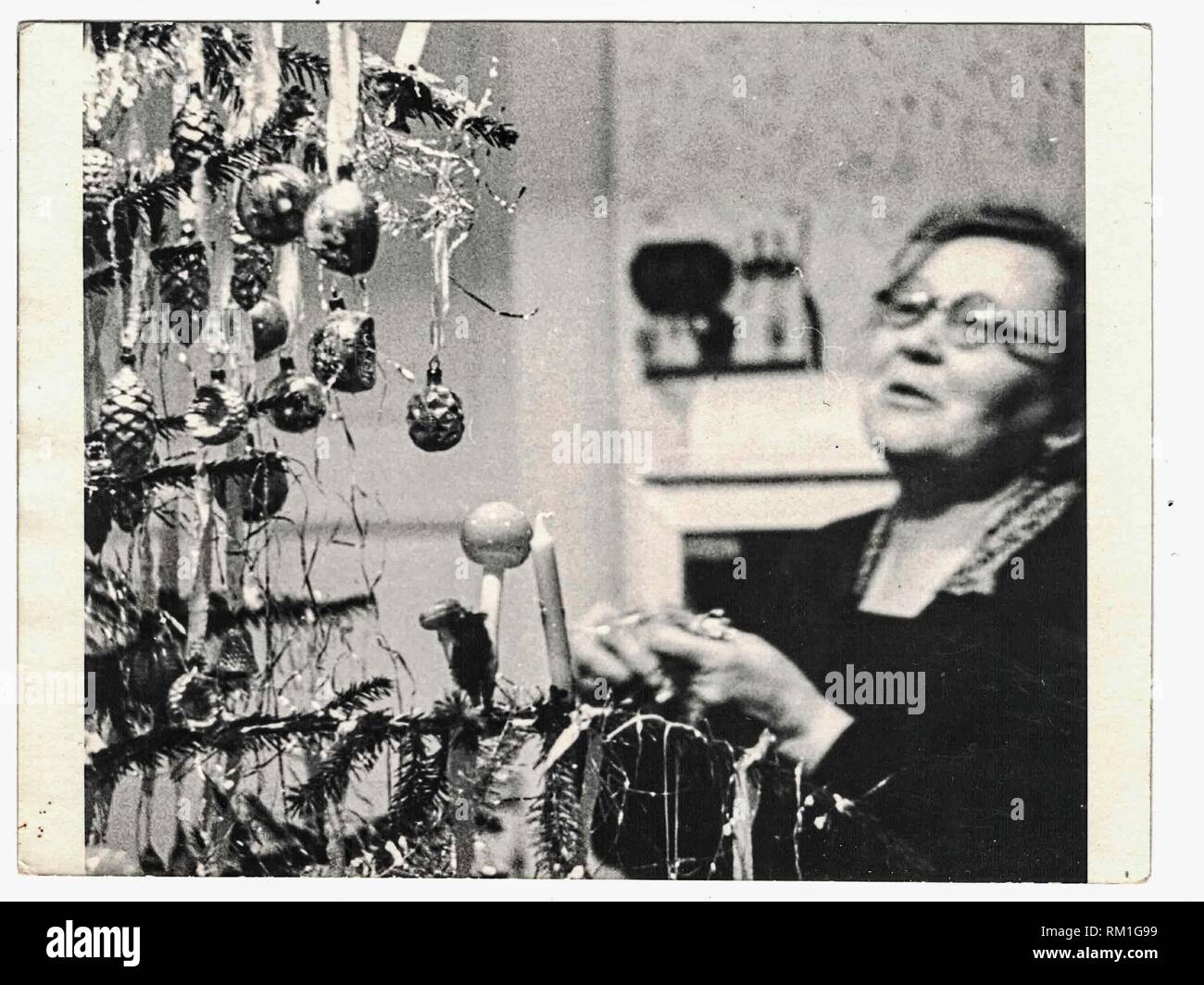 THE CZECHOSLOVAK SOCIALIST REPUBLIC - CIRCA 1960s: Retro photo shows woman and christmas tree. Black white photography. 1960s Stock Photo