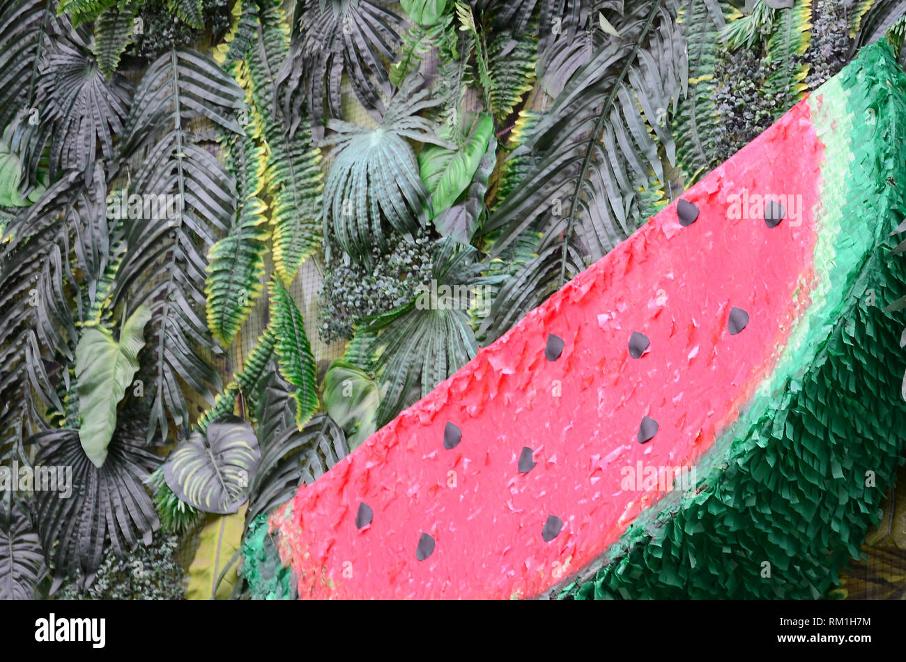 Watermelon Gangle Tropical pattern with jungle leaves and watermelon fruit floral ...