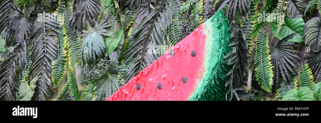 Watermelon Gangle Tropical pattern with jungle leaves and watermelon fruit floral ...