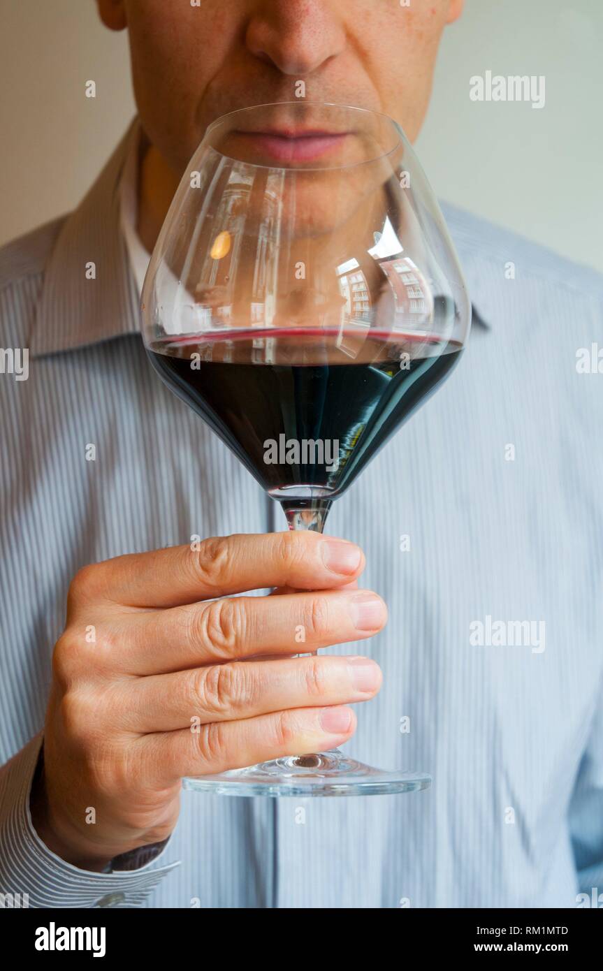 Wine taster smelling a glass of red wine Stock Photo Alamy