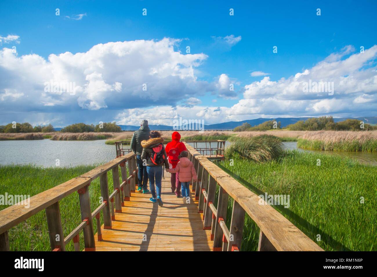Family walking along the wooden footbridge. Tablas de Daimiel National Park, Ciudad Real province, Castilla La Mancha, Spain. Stock Photo