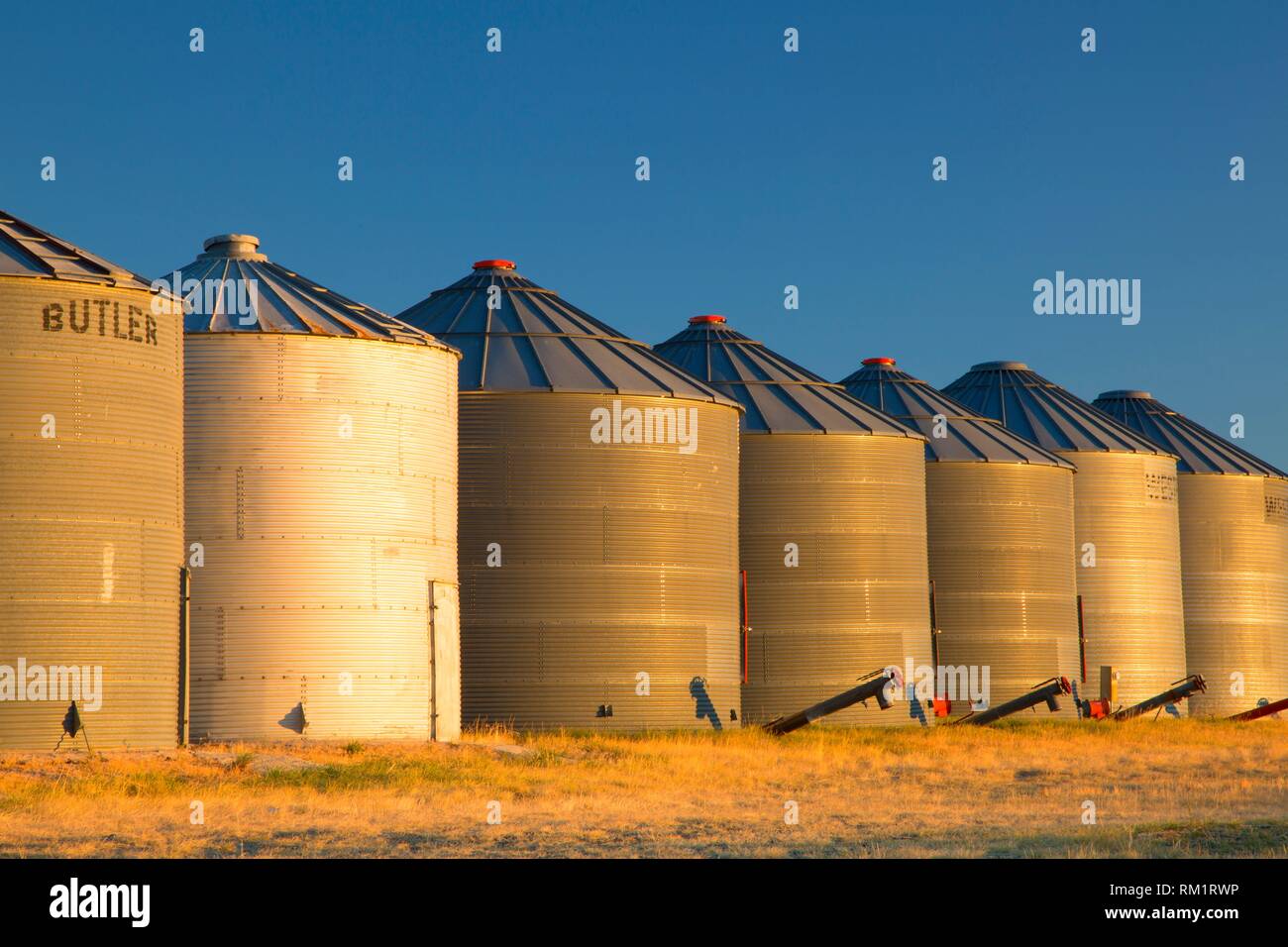 Montana wheat hires stock photography and images Alamy