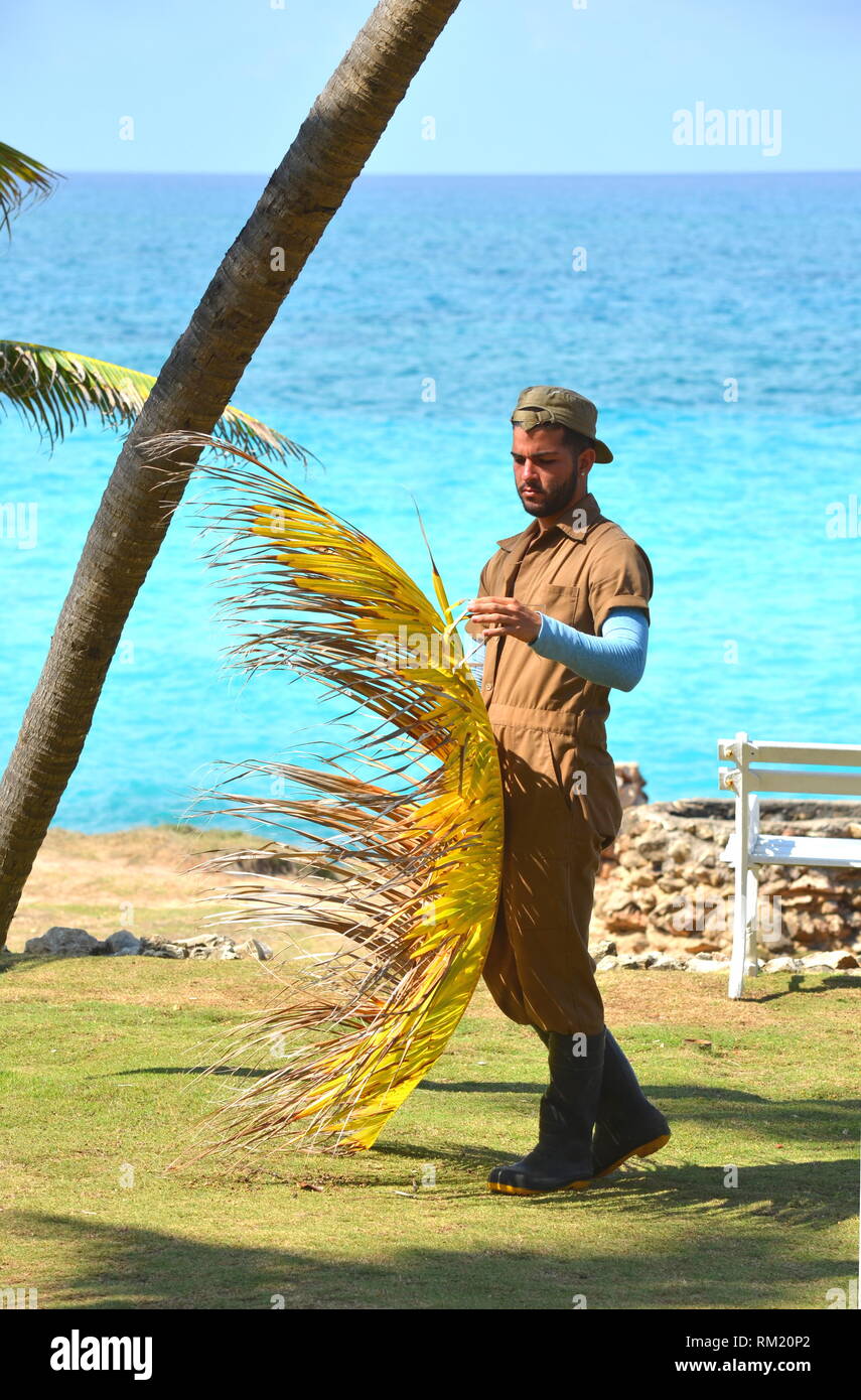 Trimming coconut hires stock photography and images Alamy