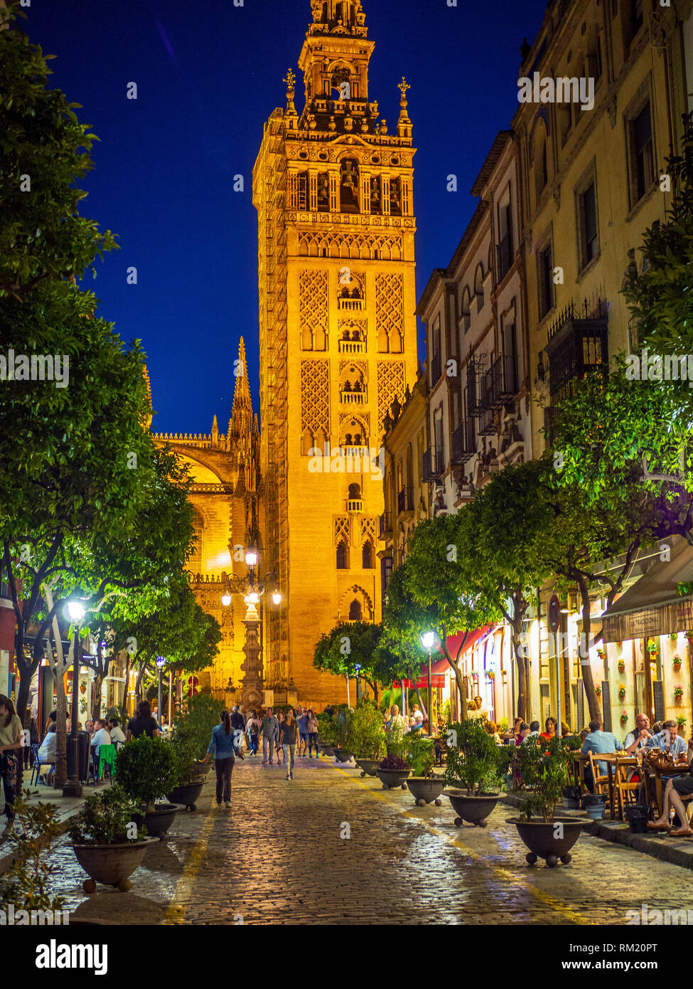 Seville Cathedral's intricate 12th century giralda, formerly a minaret. Built on the site of the Moorish 12th century Almohad mosque, the cathedral is Stock Photo
