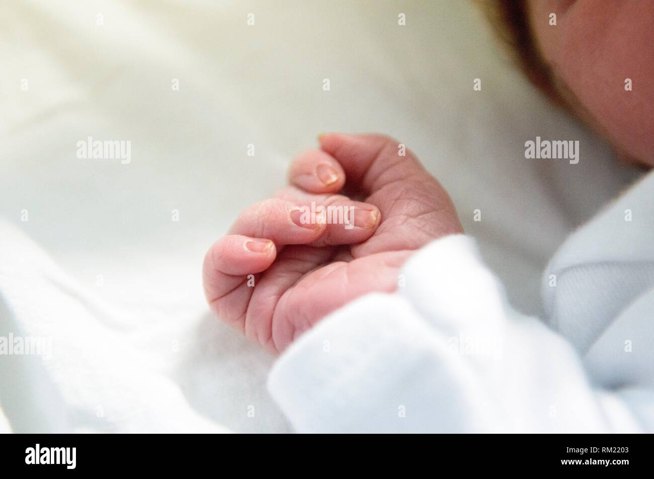 First picture of a newborn, baby hand with fingers closed like a fist