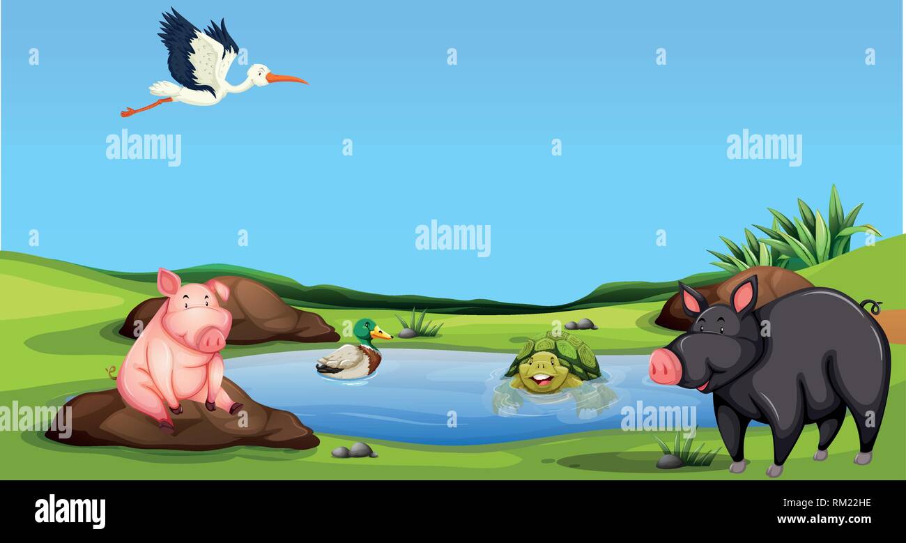 Animal at the pond illustration Stock Vector Image & Art - Alamy