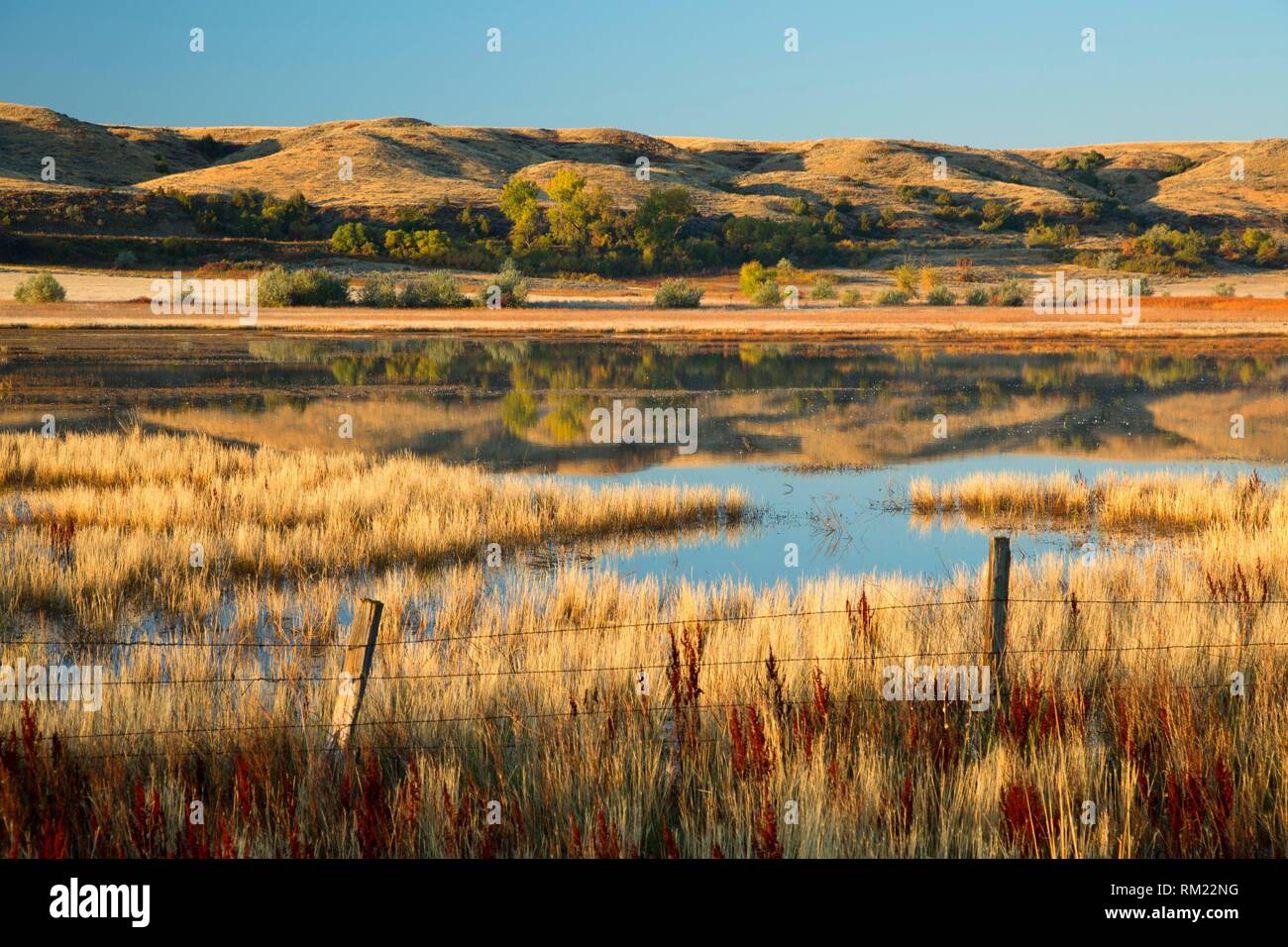 Thompson Marsh Wetland Mitigation Bank, Rosebud County, Montana. Stock Photo