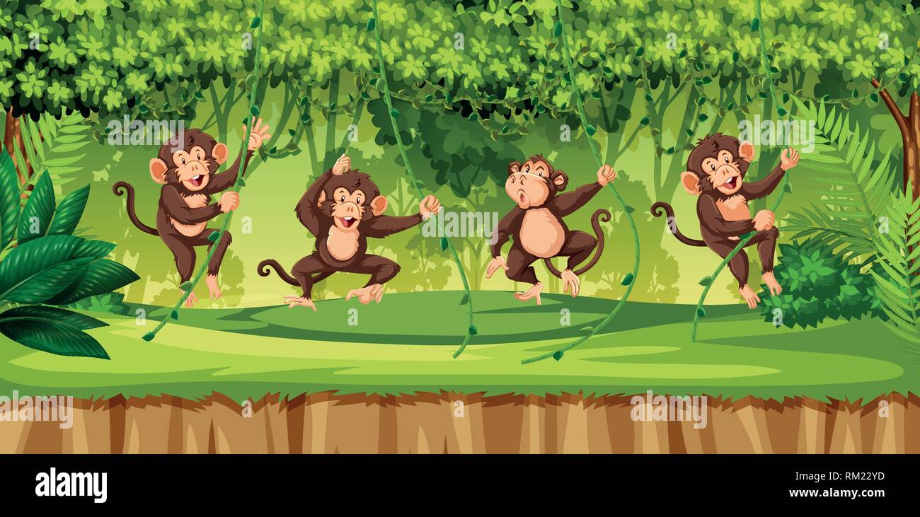 Monkey in wild forest illustration Stock Vector Image & Art - Alamy
