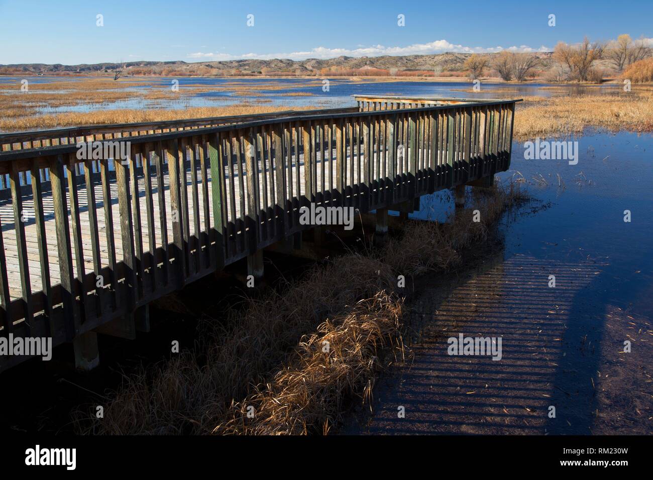 Flight deck pier, Bosque del Apache National Wildlife Refuge, New Mexico. Stock Photo