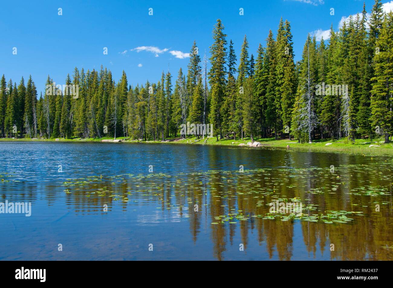 Grande ronde lake High Resolution Stock Photography and Images Alamy