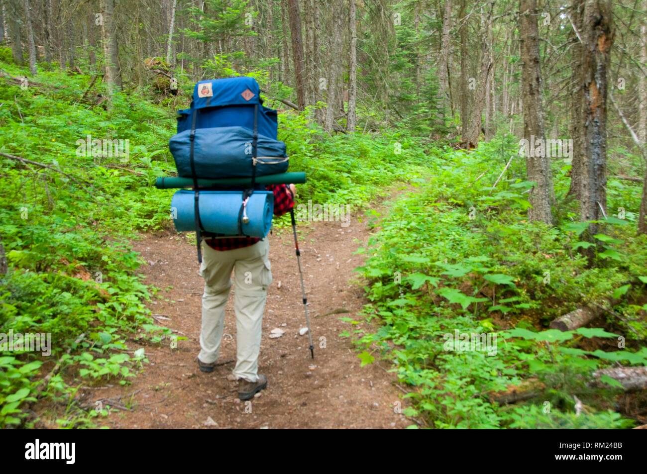 Middle Fork Trail High Resolution Stock Photography and Images - Alamy