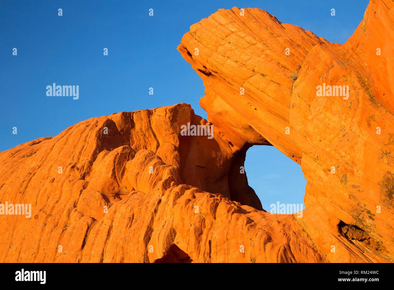 Gold butte national monument hires stock photography and images Alamy