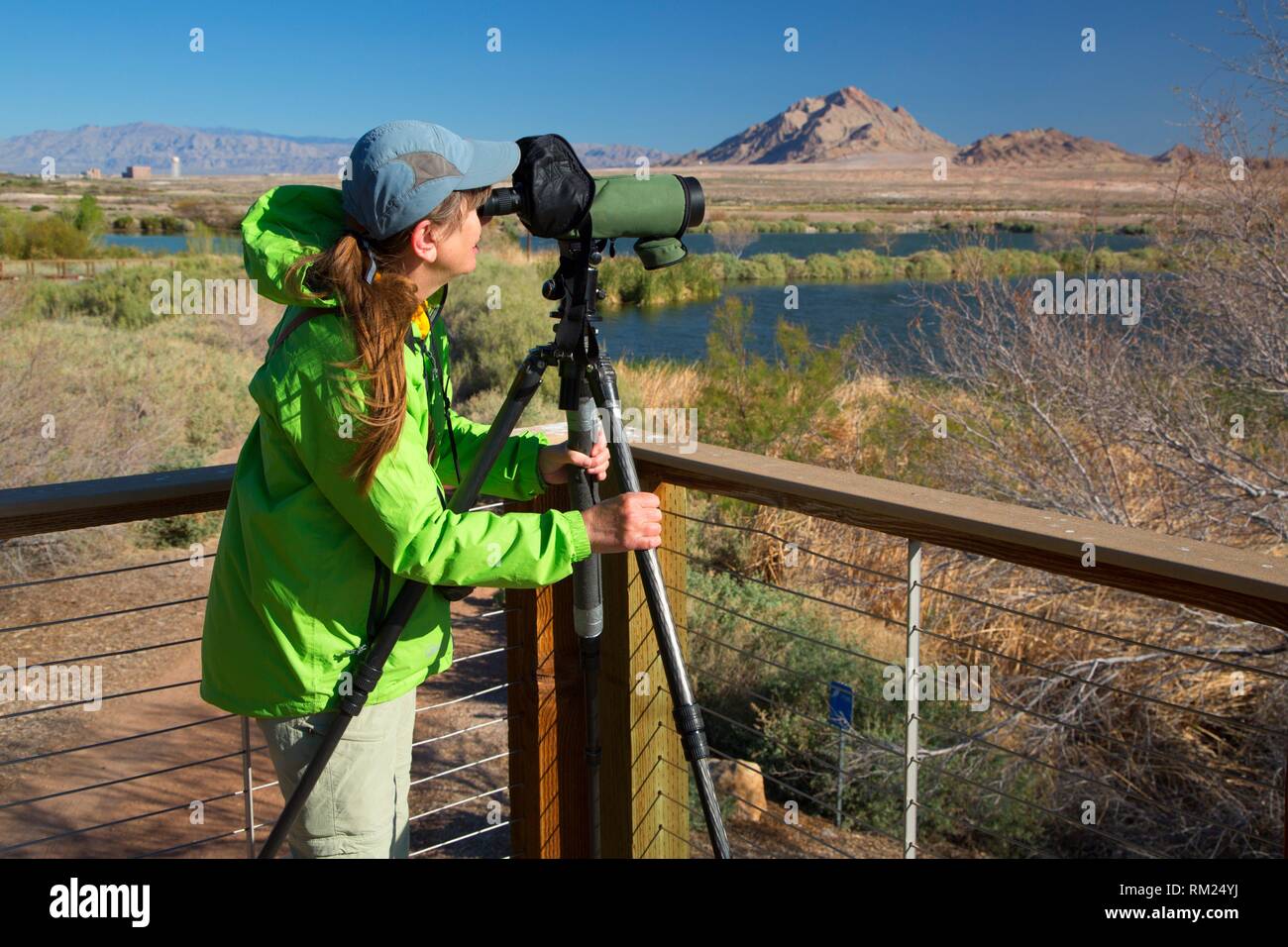 Birder with spotting scope, City of Henderson Bird Viewing Preserve, Nevada. Stock Photo
