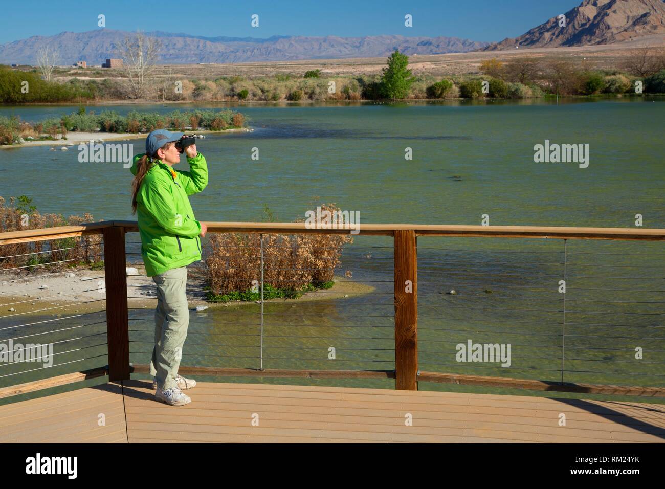 Birder with binoculars, City of Henderson Bird Viewing Preserve, Nevada. Stock Photo
