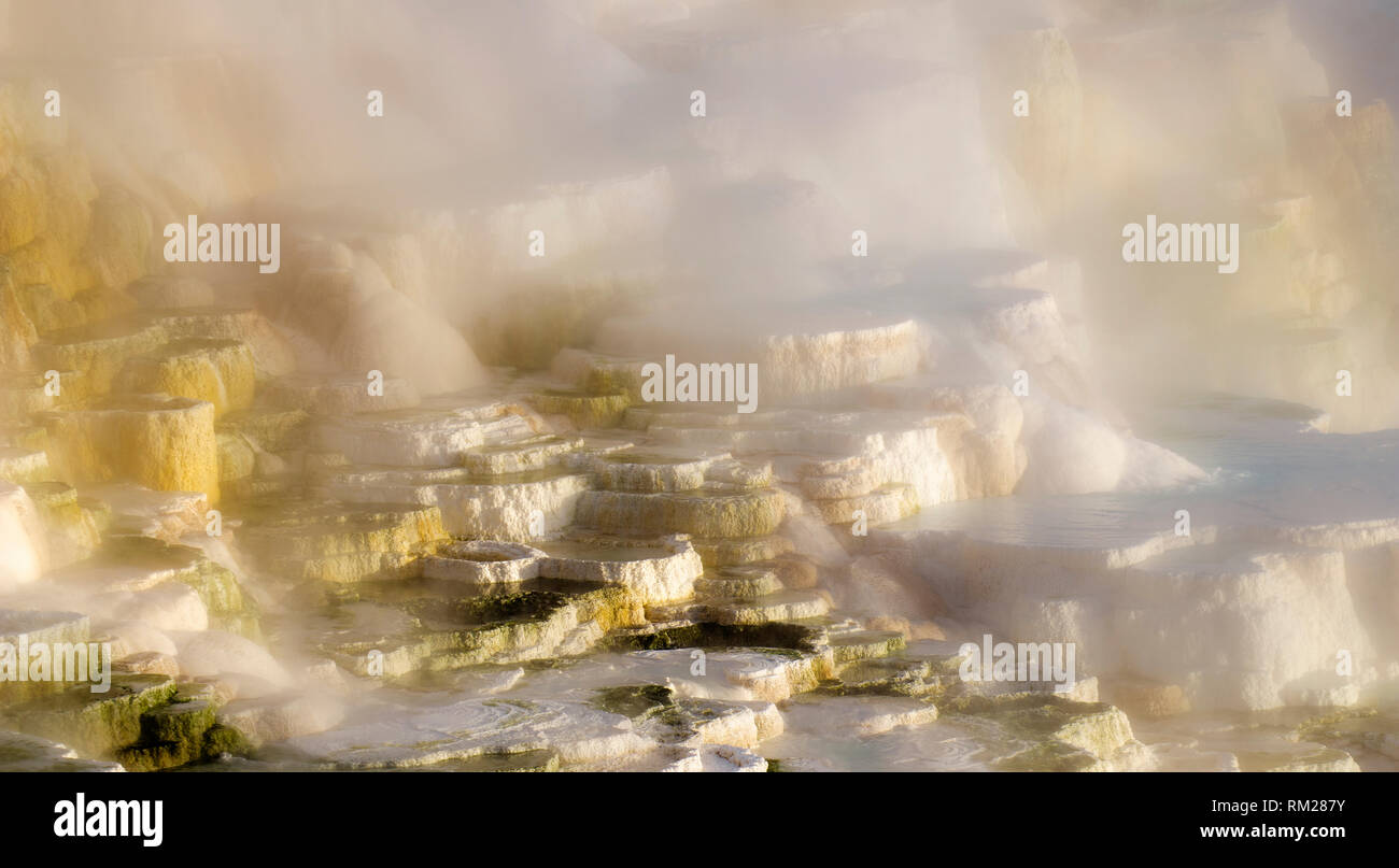 WY03619-00...WYOMING - Sunrise at the Upper Terraces of Mammoth Hot Springs in Yellowstone National Park. Stock Photo