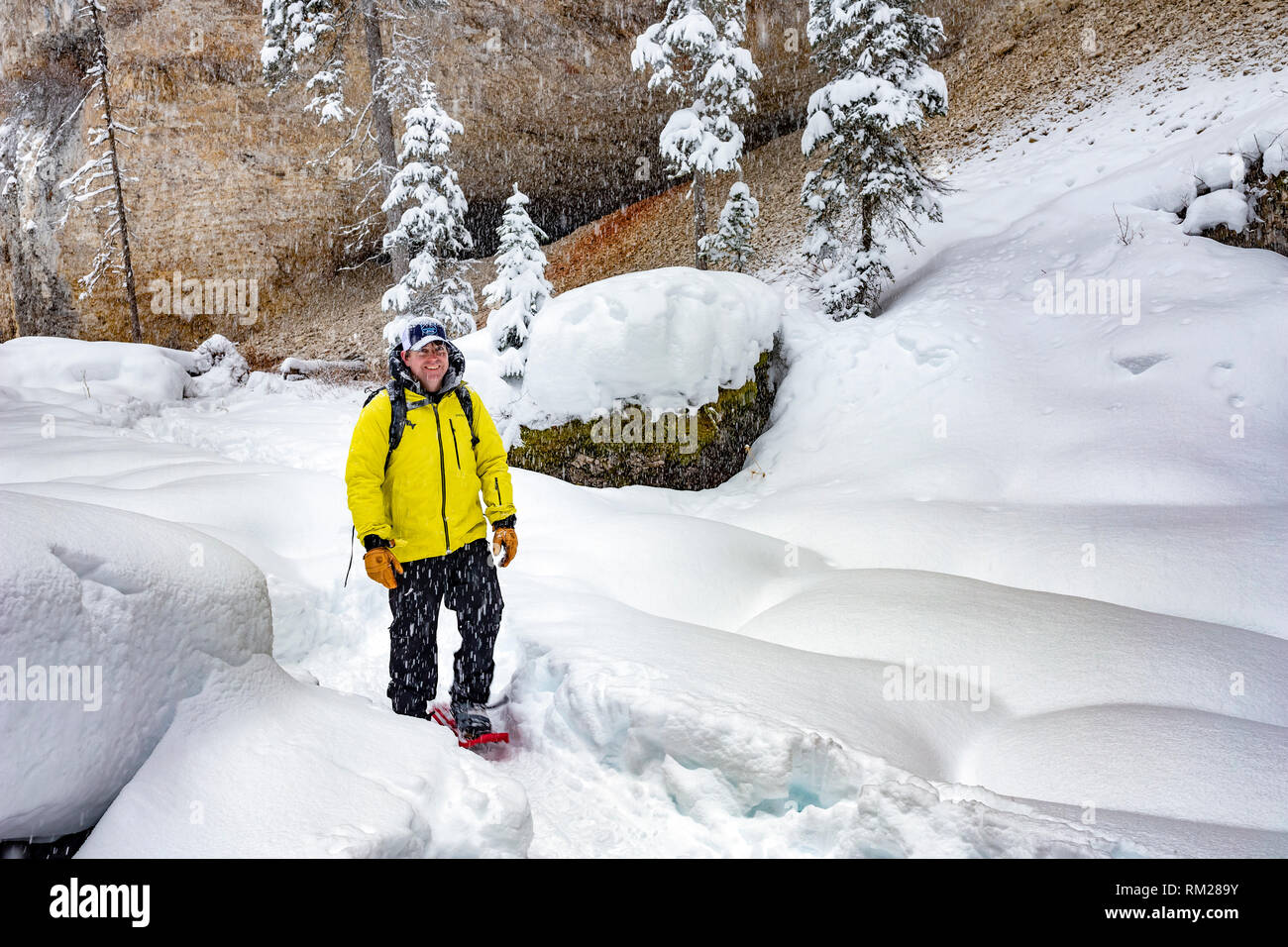 WY03631-00...WYOMING - Snowshoeing in Pebble Creek Canyon, Yellowstone National Park. Stock Photo