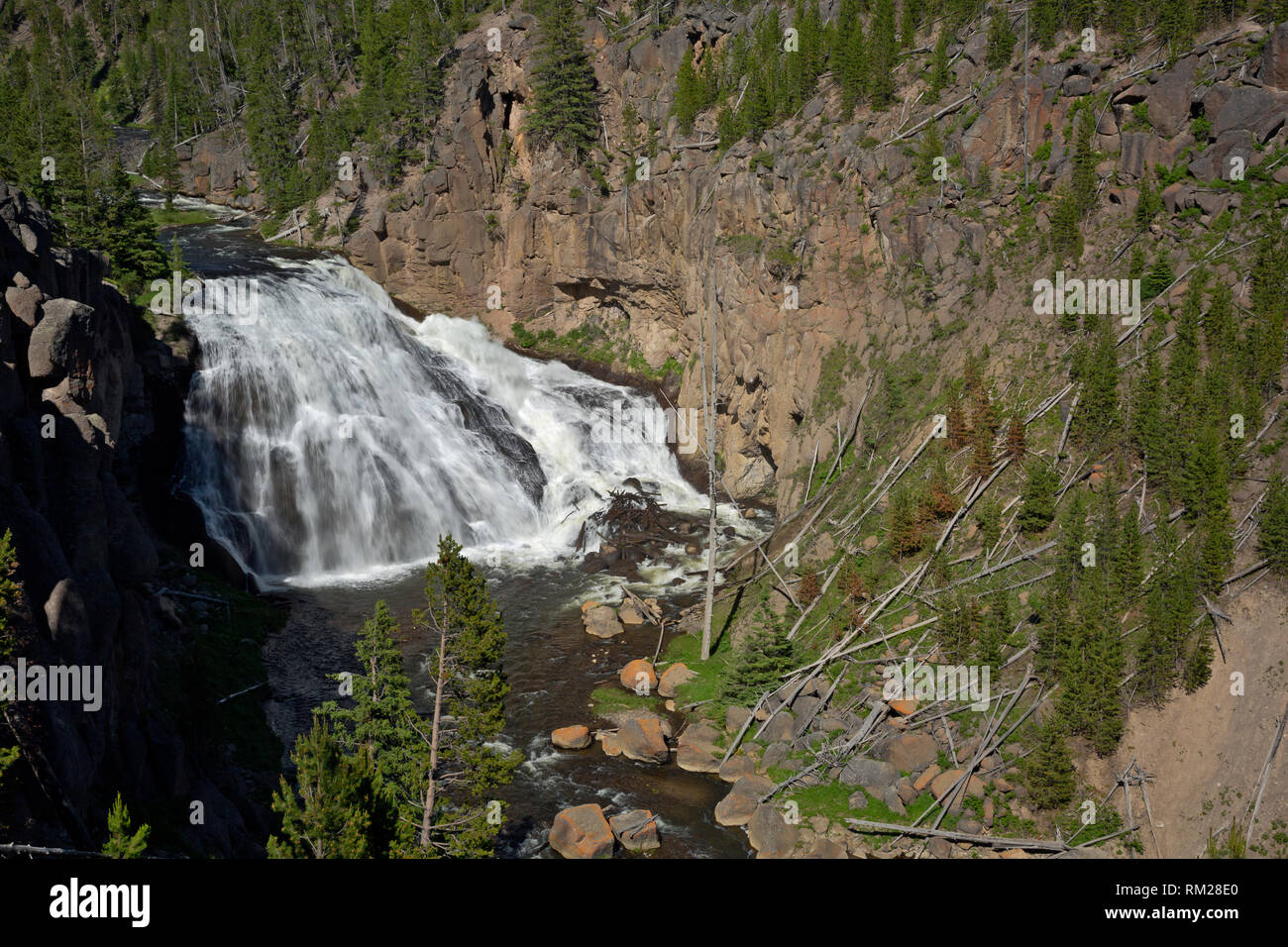 WY03465-00...WYOMING - Gibbon Falls in the Gibbon River Gorge of Yellowstone National Park. Stock Photo