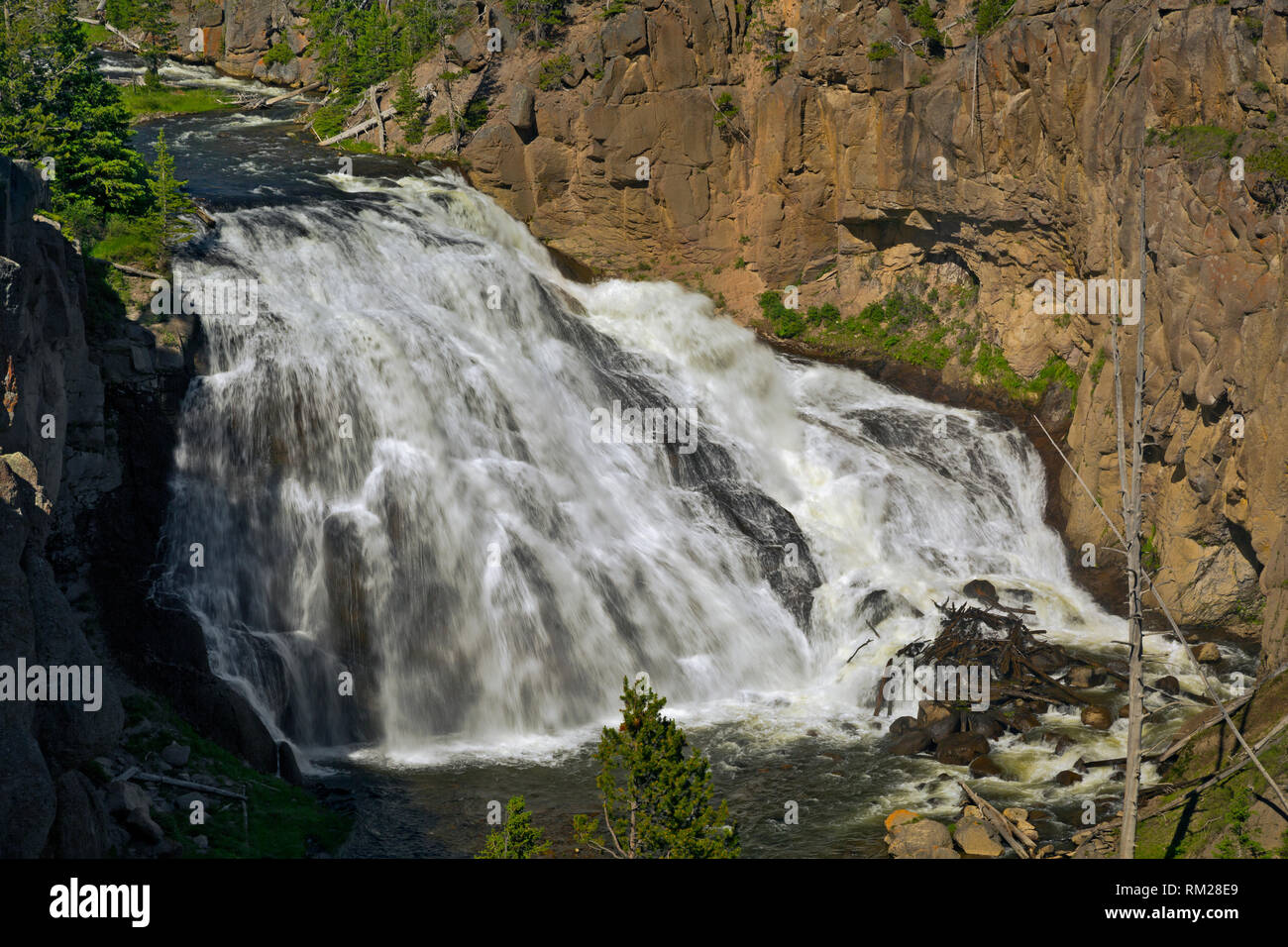 WY03466-00...WYOMING - Gibbon Falls in the Gibbon River Gorge of Yellowstone National Park. Stock Photo