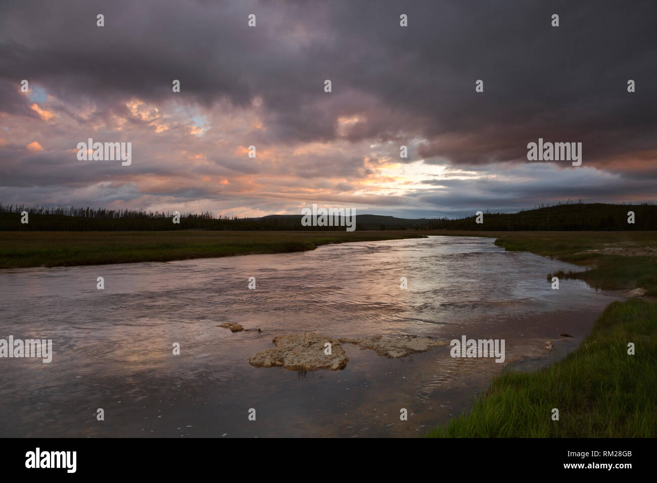 Gibbon meadows hires stock photography and images Alamy