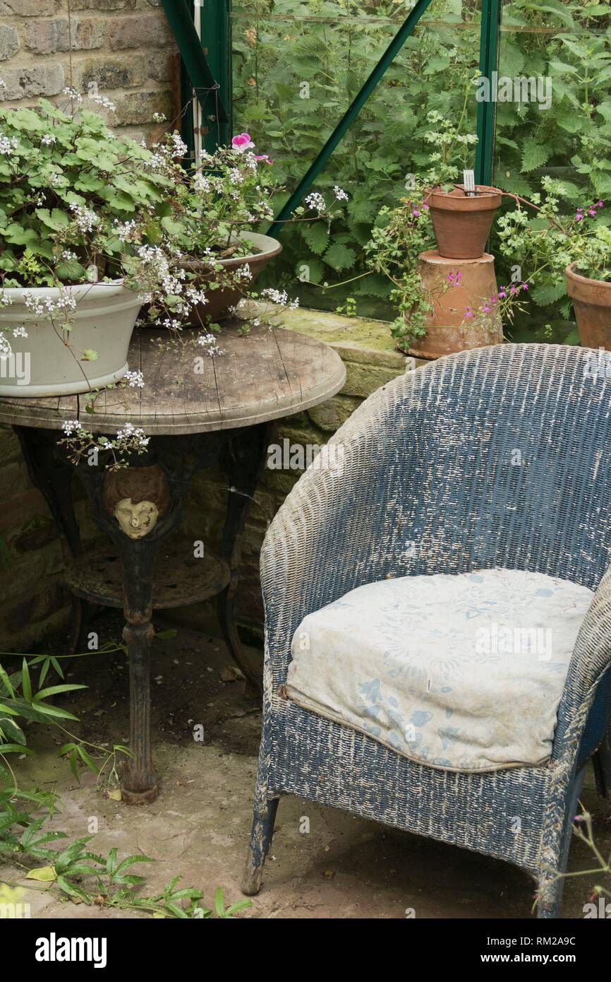 Sun worn blue wicker chair in the corner of a greenhouse with antique