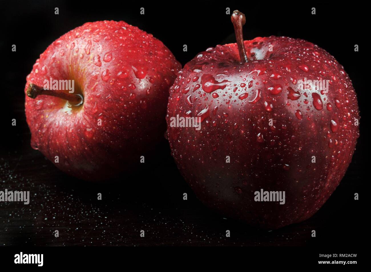 Still life studio image of Asian Red Apple Stock Photo