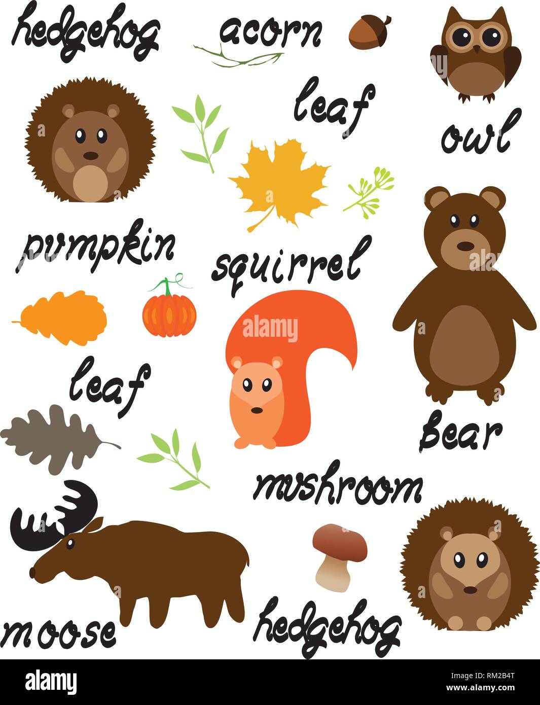 vector illustration of woodland animals nature background with words