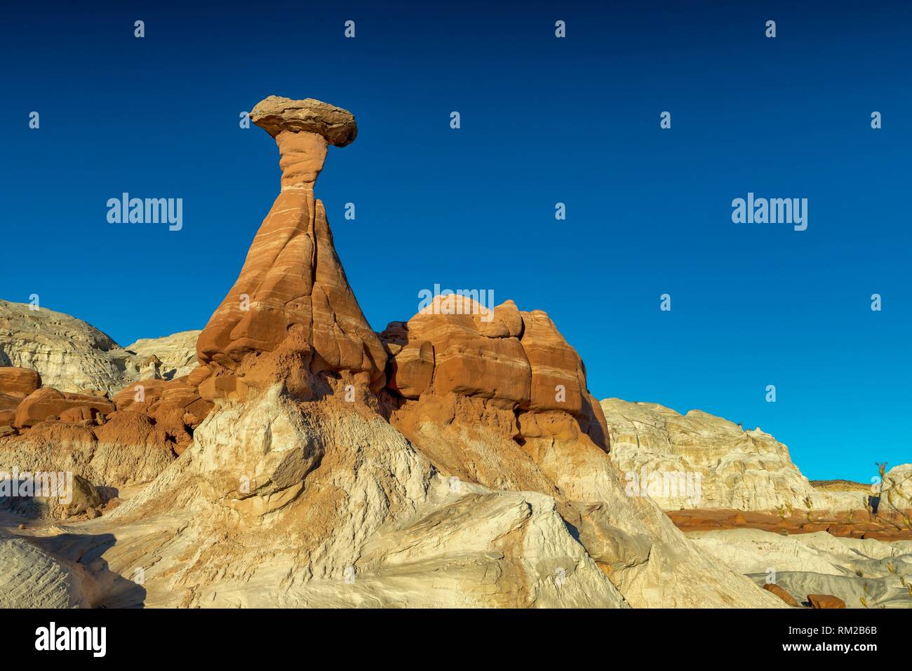 Sandstone toadstool Hoodoo sentinel above Rimrocks Toadstool Hoodoos, Grand Staircase-Escalante National Monument, Utah, USA. Stock Photo