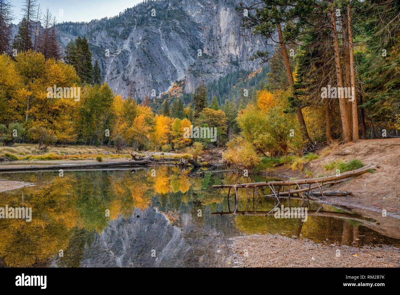 Autumn on the Merced River, Yosemite National Park, California, USA. Stock Photo
