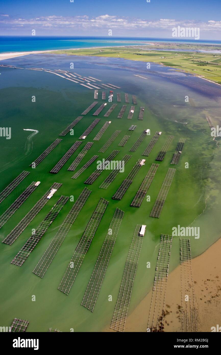 Mussel farms hires stock photography and images Alamy