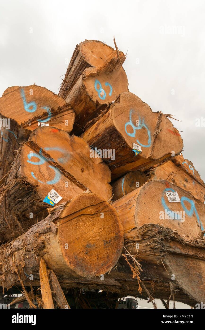 Logging industry canada logs hires stock photography and images Alamy