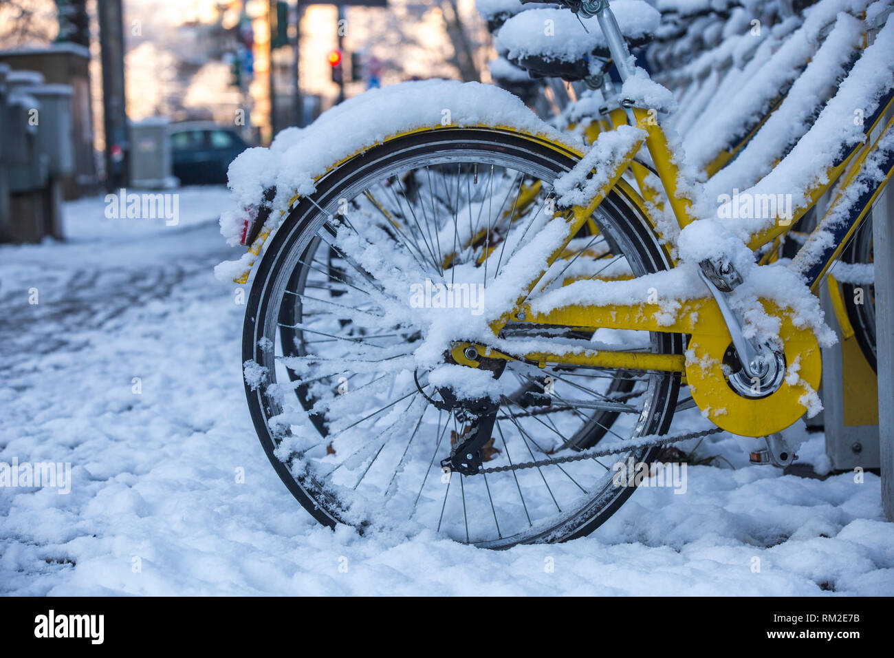 Row of snow-covered bicycles for rent. Stock Photo