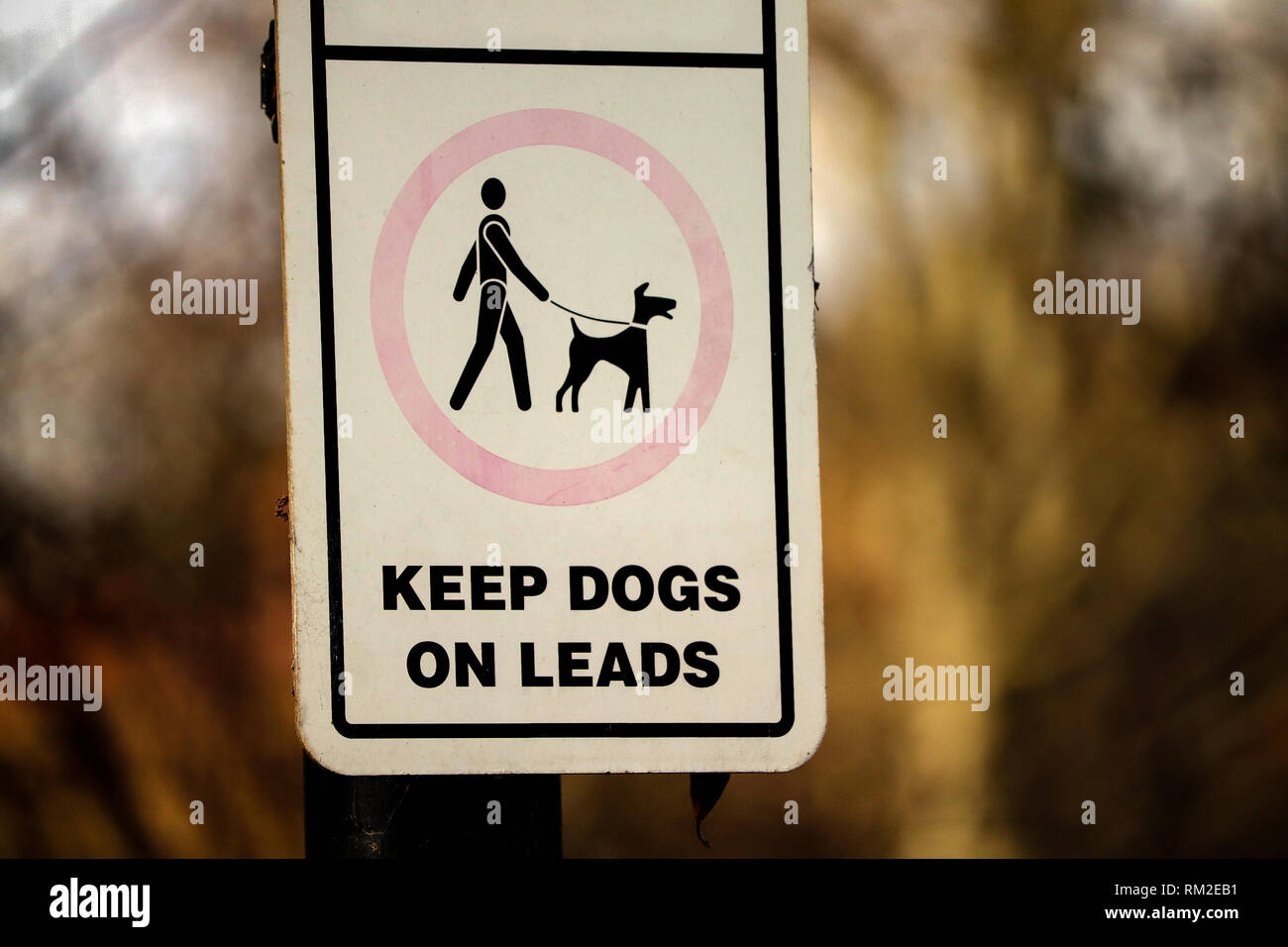 Keep dogs on lead sign Stock Photo Alamy