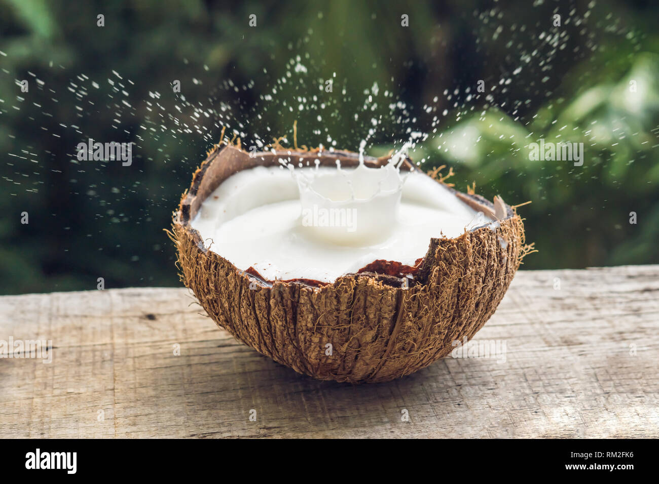 Coconut fruit and milk splash inside it on a background of a palm tree Stock Photo Alamy