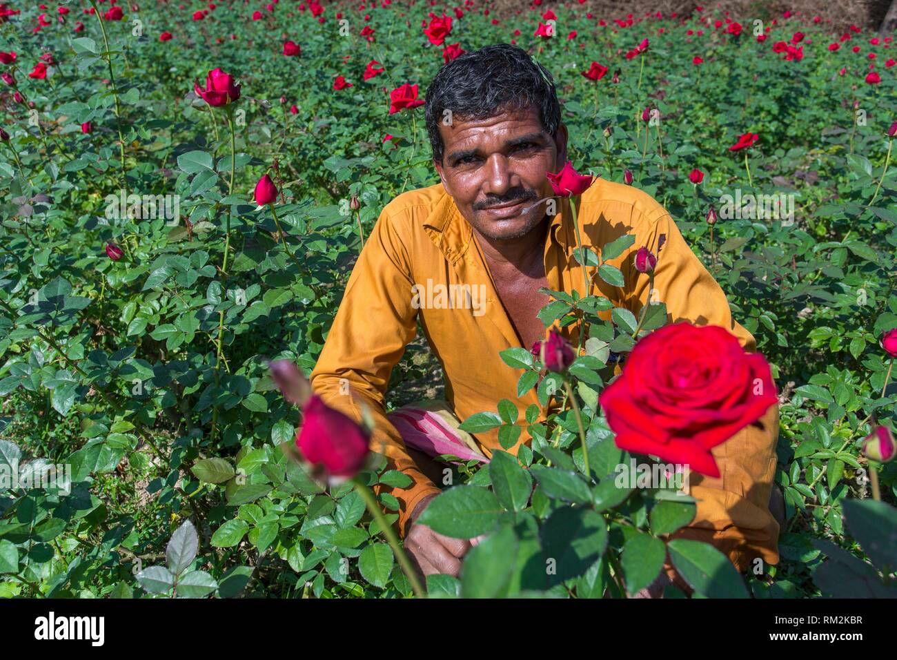 It produces most of the roses in the union, gaining the title of â