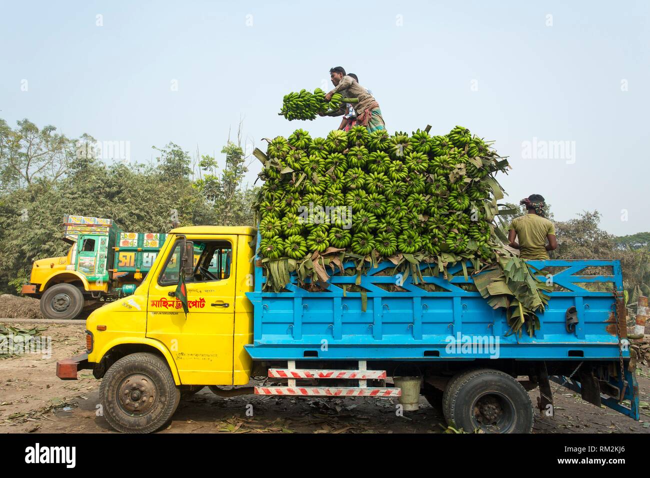 fruit and veg van for sale