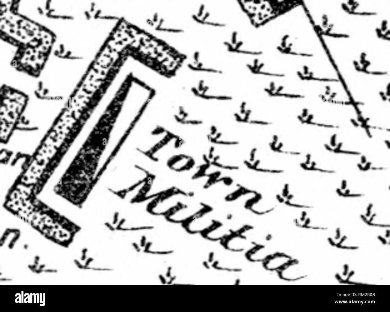 "The siege of Savannah, in 1779" (1874 Stock Photo Alamy